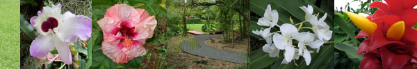 Entabeni Gardens