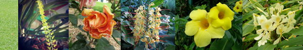 Entabeni Gardens