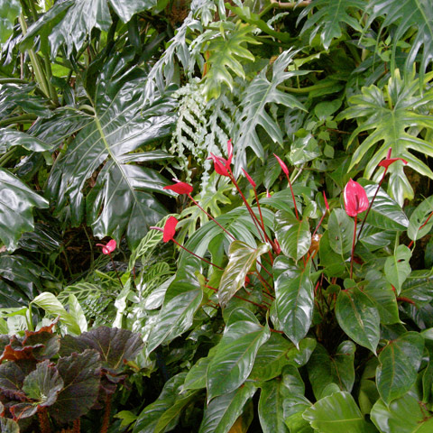 Entabeni Gardens