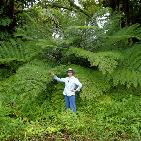 Entabeni Gardens