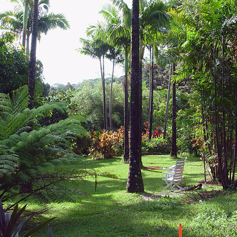 Entabeni Gardens