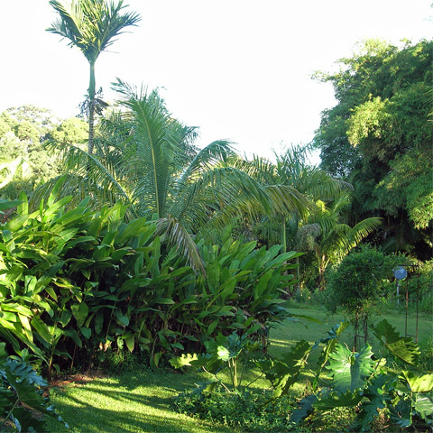 Entabeni Gardens