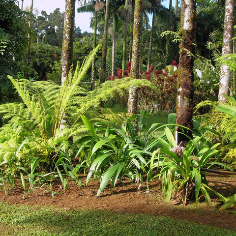 Entabeni Gardens