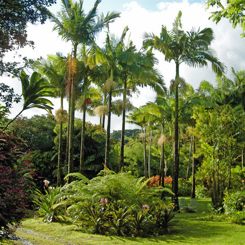 Entabeni Gardens
