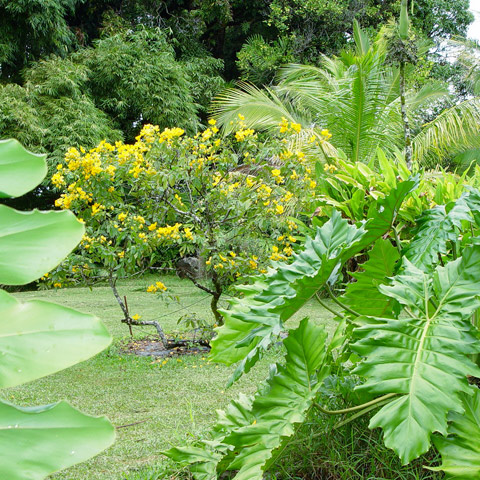 Entabeni Gardens