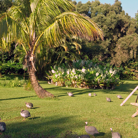 Entabeni Gardens